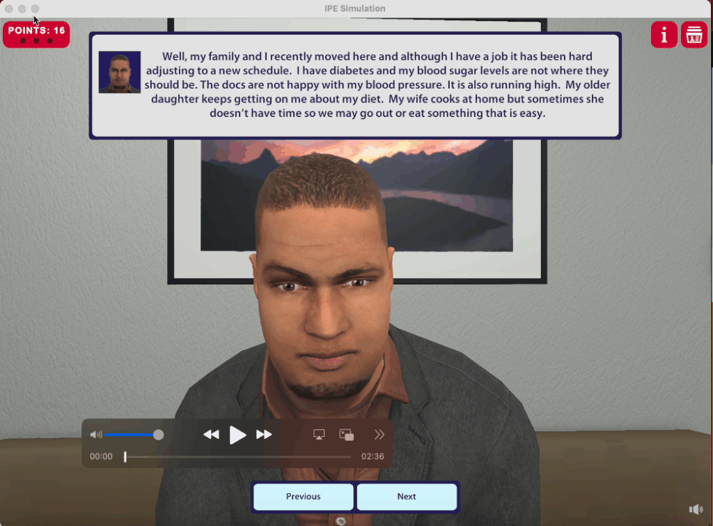 Virtual IPE Video Screenshot
