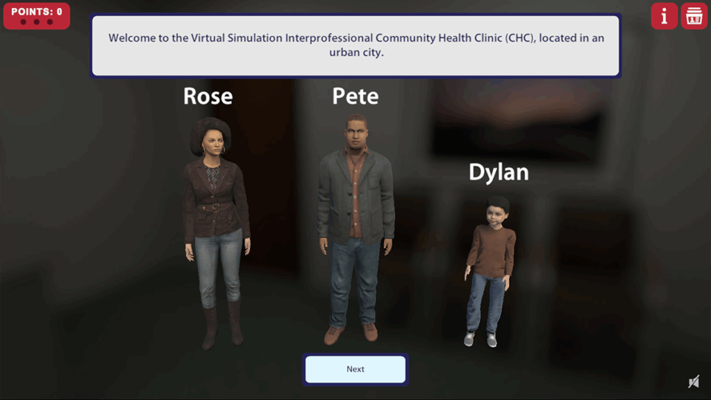 Virtual IPE Video Screenshot