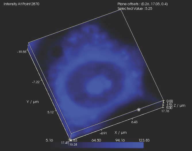 MG-63 2850 cm-1 Gauche lipids
