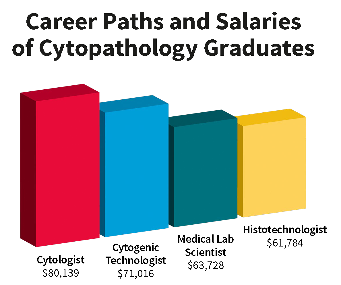 Career Paths and Salaries of our Graduates